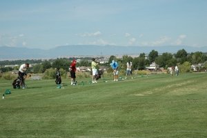 Walking Stick Photo 12