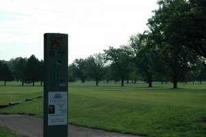 Elmwood Photo 5