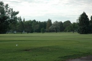 Elmwood Photo 14