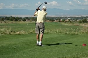 Walking Stick Photo 14