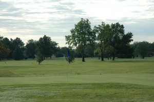 Elmwood Photo 16