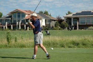 Walking Stick Photo 17